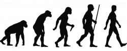 evolution-of-man